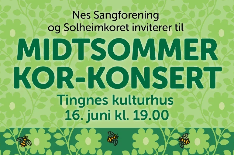 Sommerkonsert Tingnes 16. juni 2019